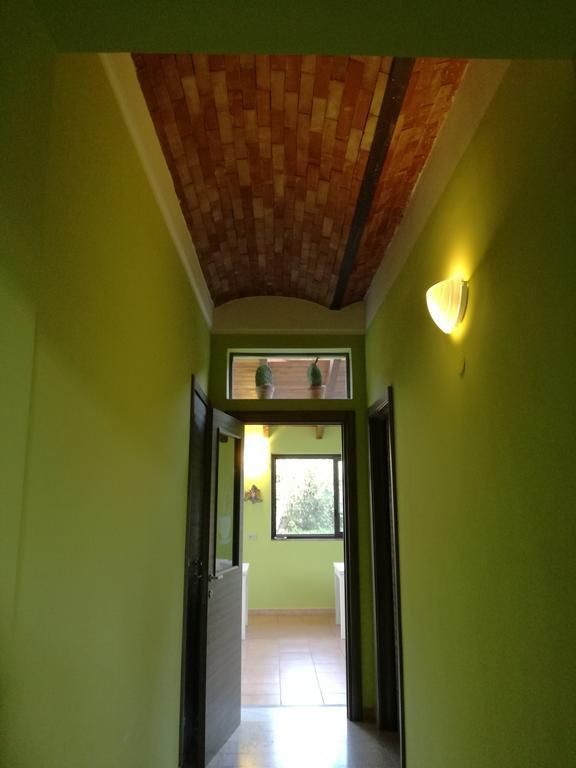 Miss Sicily B&B Terrasini Εξωτερικό φωτογραφία